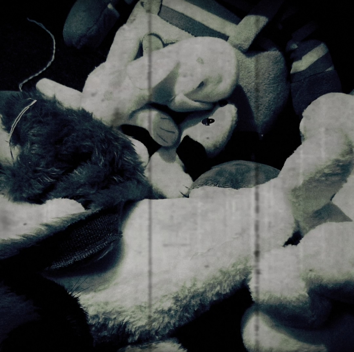IMG-20260821-WA0035